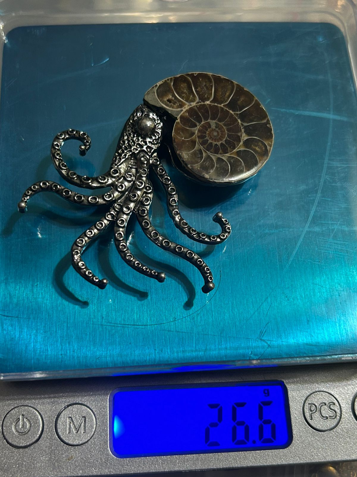 Prendedor de Acero – Anémona Pulida - Image 4