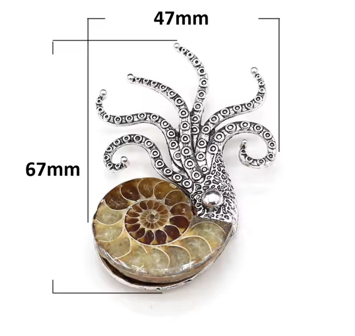 Prendedor de Acero – Anémona Pulida - Image 5