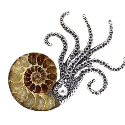 Prendedor de Acero – Anémona Pulida